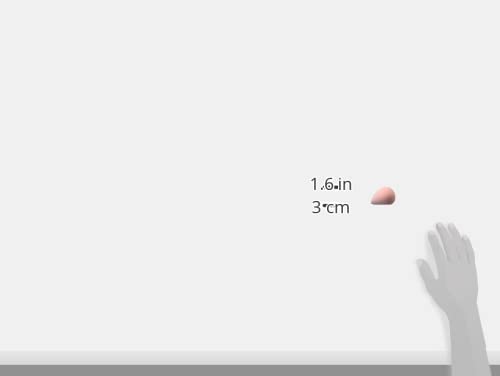 wet n wild Makeup Sponge - Low Product Absorption for Streak-Free Application, Effortless Blending Beauty for a Smooth Professional Looking Finish, Cruelty-Free & Vegan-Microfiber