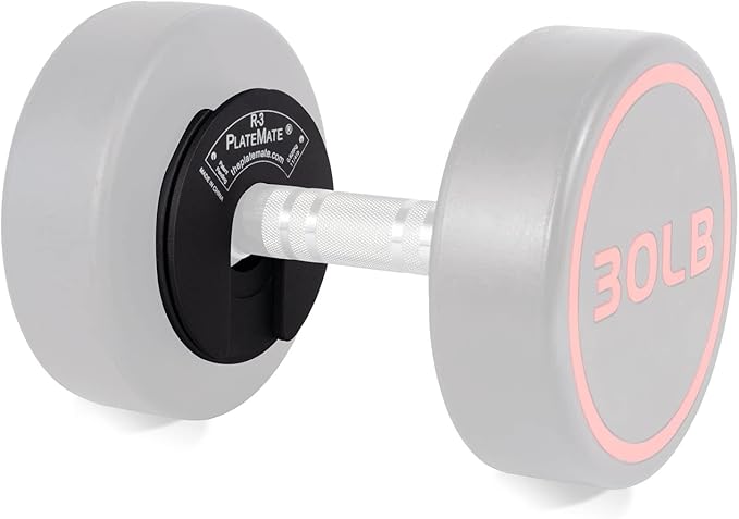 1.25 Lb each R-3 Micro Loading Weight Plates (2.5 LBS 5 LBS