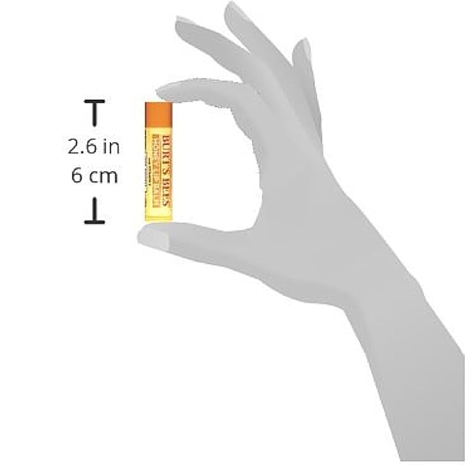 Burt's Bees Honey Moisturizing Lip Balm