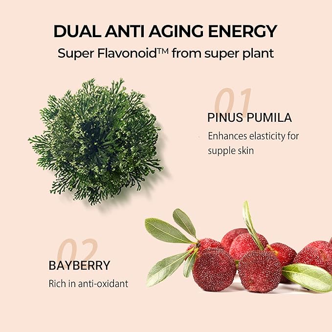 IOPE Face Cream, Super Vital Cream Rich - Total Anti-aging Facial Moisturizer, Skin Brightening & Anti-Wrinkle Skin Care from Plant Extract, Deep Moisturizing fo Dry Skin - 1.69 Fl Oz.