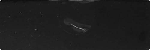 Gleem Battery Powered Electric Toothbrush, Black