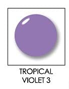 LIP INK Organic Vegan Tinted Waxless