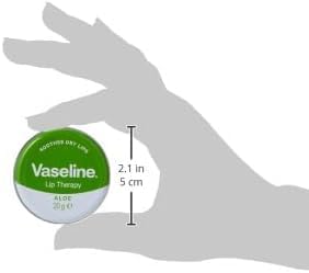 Vaseline Lip Balm 20g/0.705oz (6X20g/0.705oz, Aloe