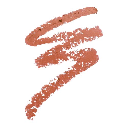 Professional Lip Liner, Long-Lasting Luxury Intense Lipliner, Creamy Retractable Easy to Use Richly Pigmented Lip Liner Pencil 3 PCS (Brown)