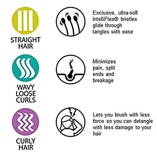 Wet Brush Original Princess Guiding