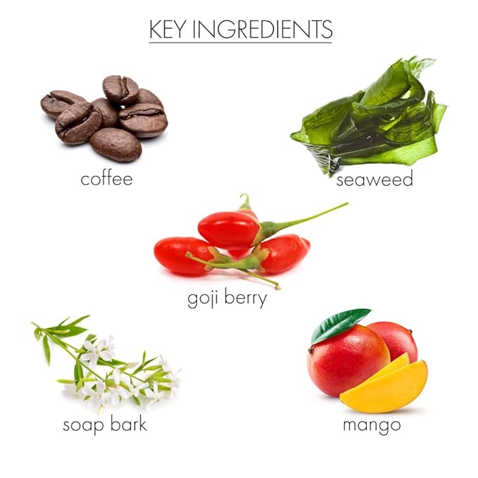 Whish Beauty Self Tanner - Sunless Tanning Lotion for Face & Body - Moisturizes with Shea Butter, Mango Butter, & Aloe - For All Skin Tones - Paraben & Sulfate Free, 5 fl oz (Sun Kissed Agave)