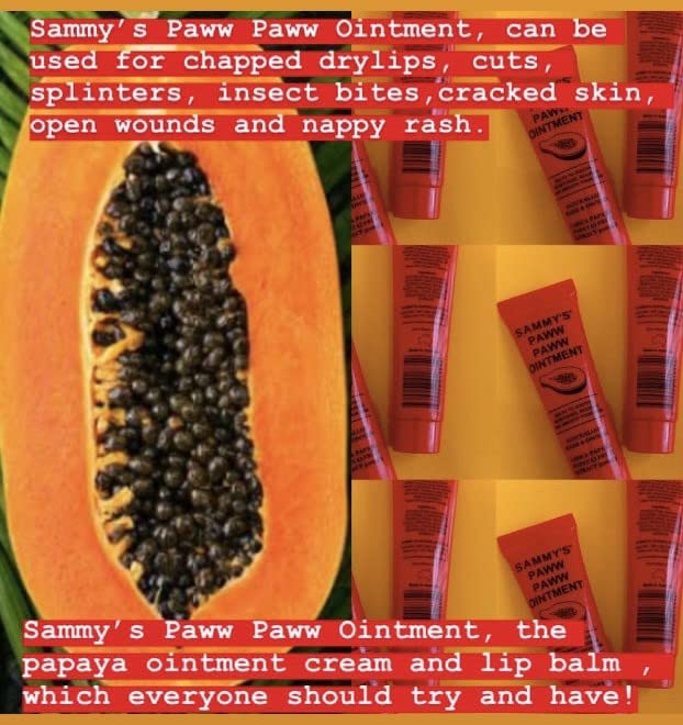 SAMMY'S PAWW PAWW OINTMENT - Lip Healing