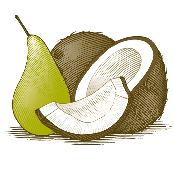 Burt's Bees Lip Balm - Coconut and Pear, Lip Moisturizer With Responsibly Sourced Beeswax, Tint-Free, Natural Origin Conditioning Treatment, 2 Tubes, 0.15 oz.