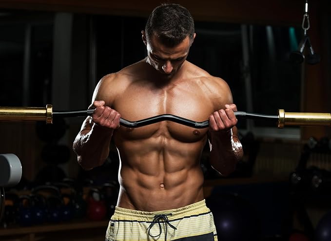 47" Olympic EZ Curl Bar 500-lbs Capacity Steel 2" Barbell