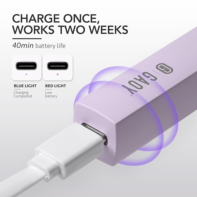 GAOY Handheld UV Light for