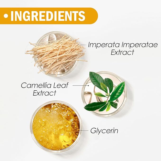 Mineral Sunscreen Setting Powder, Mineral Brush Powder, SPF All Skin