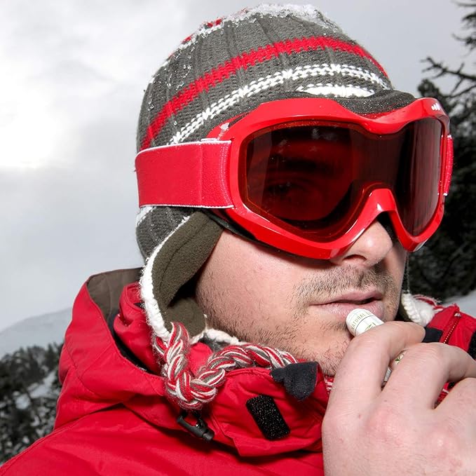 32-Pack Lip Balm in Bulk by