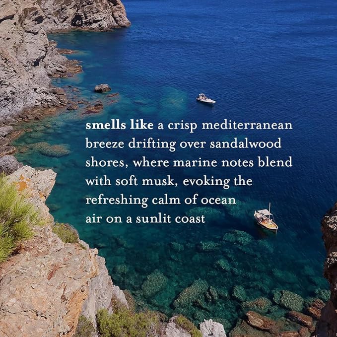 A LA MAISON French Liquid Hand Soap and Eco-Friendly Fresh Sea Salt, 3 pack 16.9 Fl Oz.