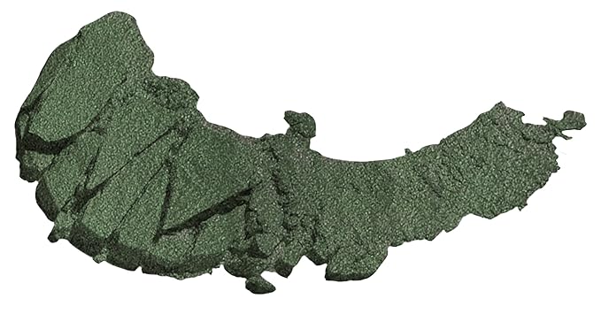 wet n wild Color Icon Satin Eyeshadow Single | High Pigment Long Lasting | Envy (Pack of 2)