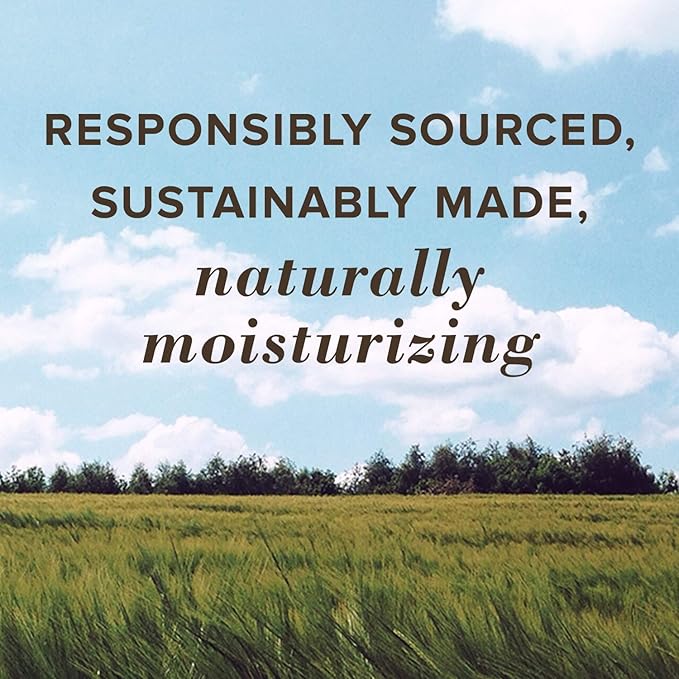 Burt's Bees 100% Natural Moisturizing Lip