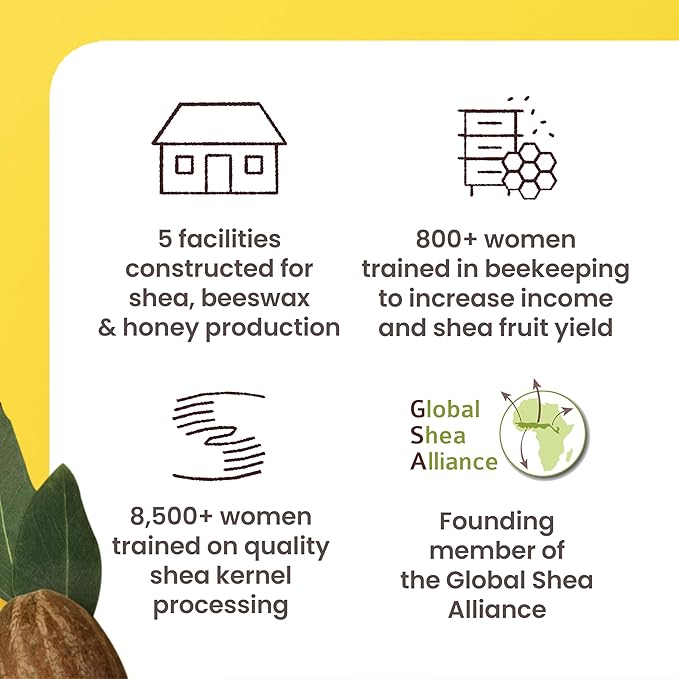 Burt's Bees Shea and Aloe Moisturizing Lip Balm, Lip Moisturizer With Responsibly Sourced Beeswax, Tint-Free, Natural Origin Conditioning Treatment, 4 Tubes, 0.15 oz.