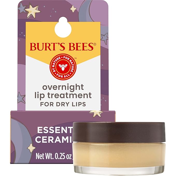 Burt's Bees Overnight Intensive Lip Treatment,