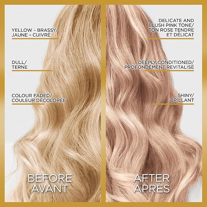 L'Oreal Paris Le Color Gloss