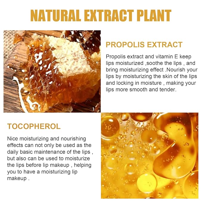 Lip Balm Honey Pot Propolis Lip Moisturizing