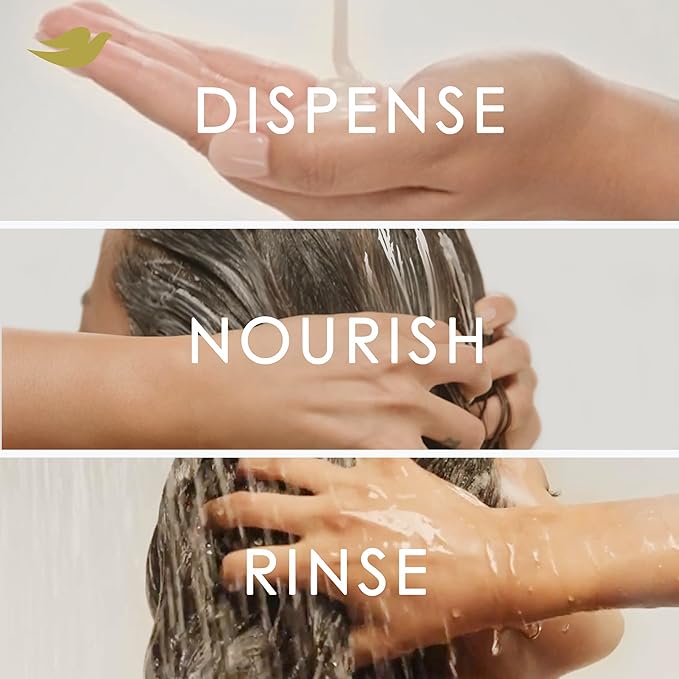 Dove Conditioner Argan Oil & Repair for Fine Hair with Bio-Protein Care Technology and Argan Oil Blend 12 Fl Oz