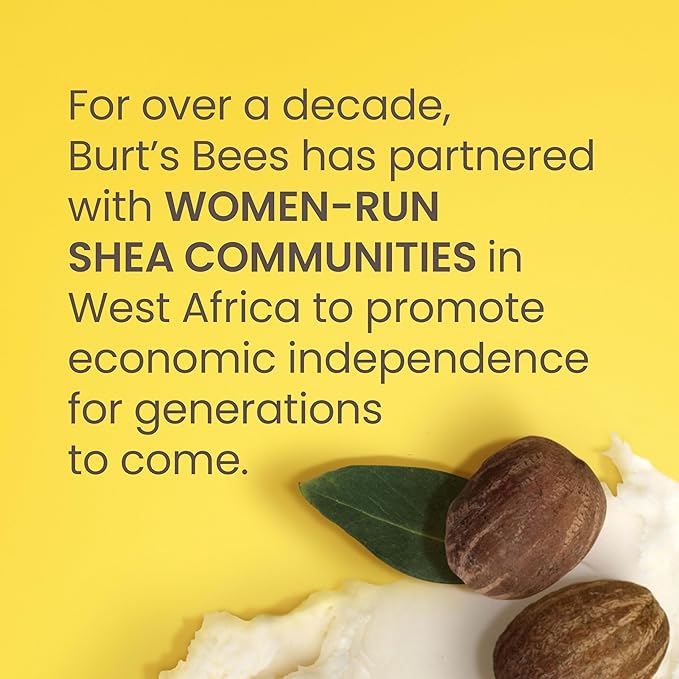 Burt's Bees Shea and Aloe Moisturizing Lip Balm, Lip Moisturizer With Responsibly Sourced Beeswax, Tint-Free, Natural Origin Conditioning Treatment, 4 Tubes, 0.15 oz.