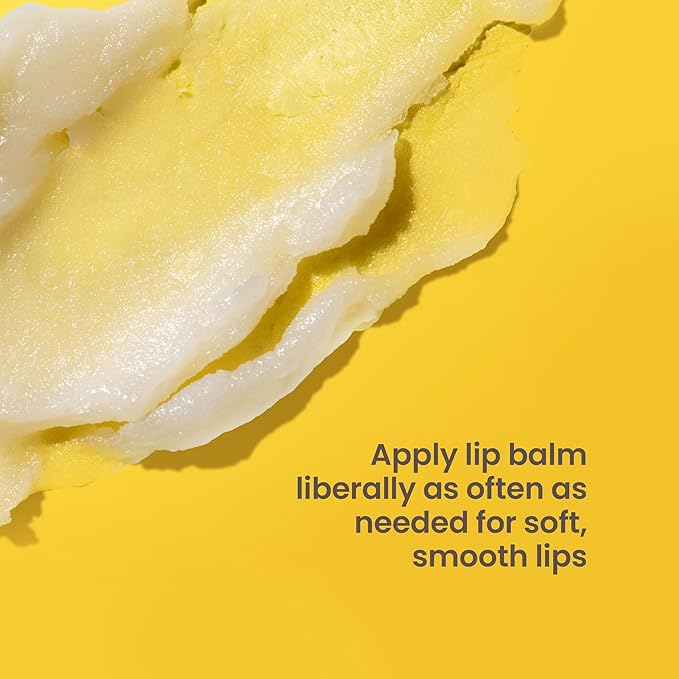 Burt's Bees Shea and Aloe Moisturizing Lip Balm, Lip Moisturizer With Responsibly Sourced Beeswax, Tint-Free, Natural Origin Conditioning Treatment, 4 Tubes, 0.15 oz.