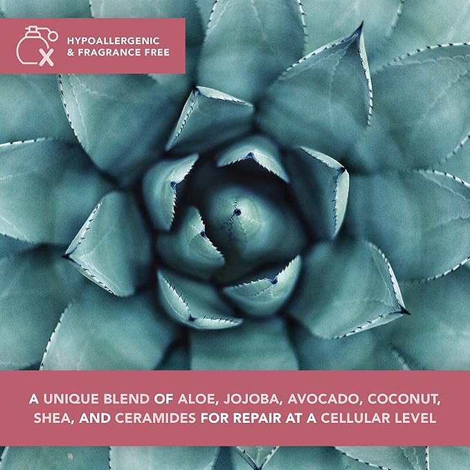 Doll 10 Perfect Pout Revitalizing Lip