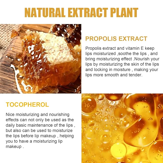 Lip Balm Honey Pot, Honey Moisturizing